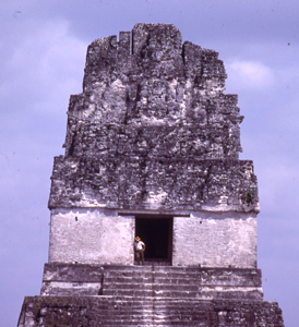 Tikal roofcomb